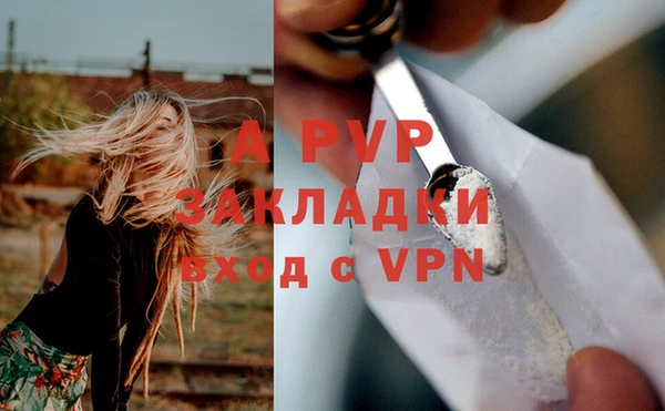 твердый Майский