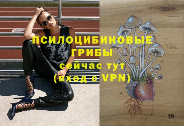 прущие крисы Магадан