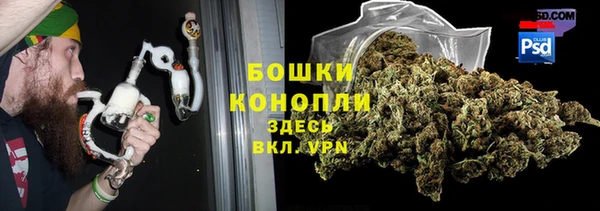 прущие крисы Магадан