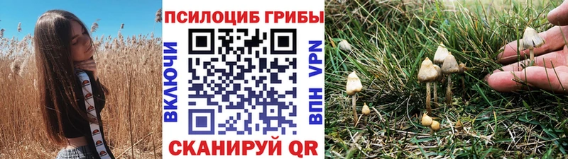 Псилоцибиновые грибы Psilocybe  площадка формула  Сосновоборск  цены наркотик 