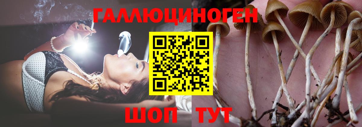 Галлюциногенные грибы мицелий  Вход с VPN  Галлюциногенные грибы Magic Shrooms  Сосновоборск 